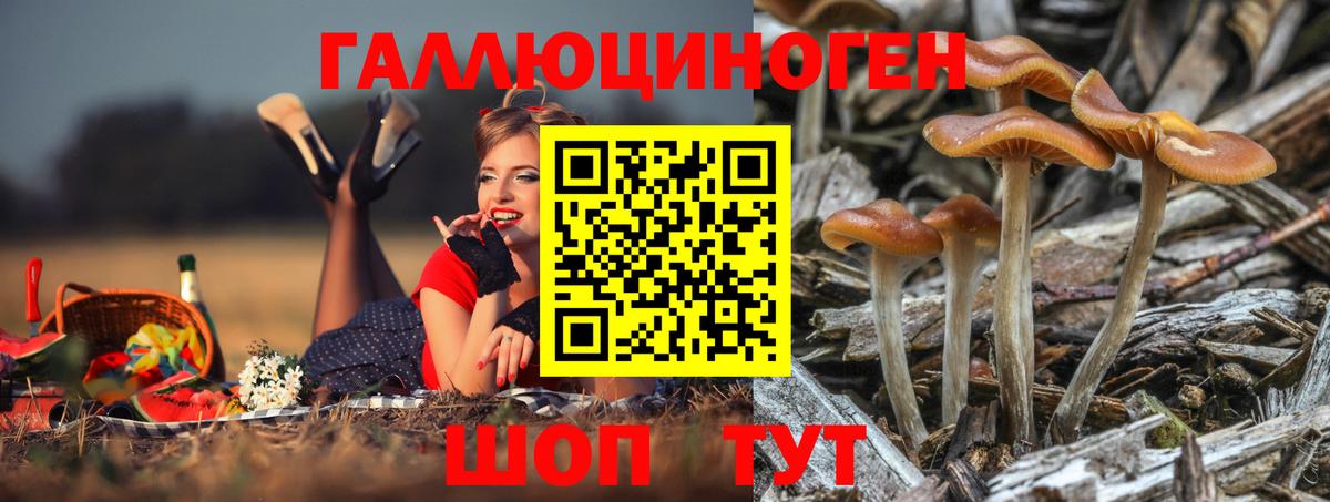 Псилоцибиновые грибы ЛСД Бирск
